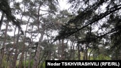 თბილისის ერთ-ერთი პარკი