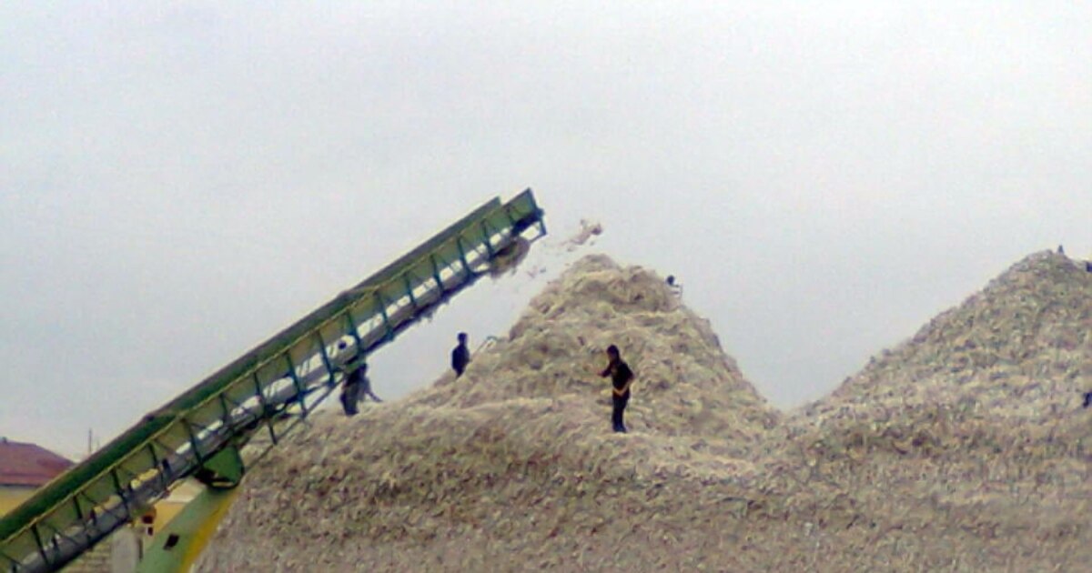 Siktirayotgan ayollar fotosuratlari