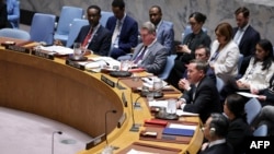 جنوري ۱۵-۲۰۲۶ - د امنیت شورا په غونډه کې د امریکا استازی مایک والټر خبرې کوي