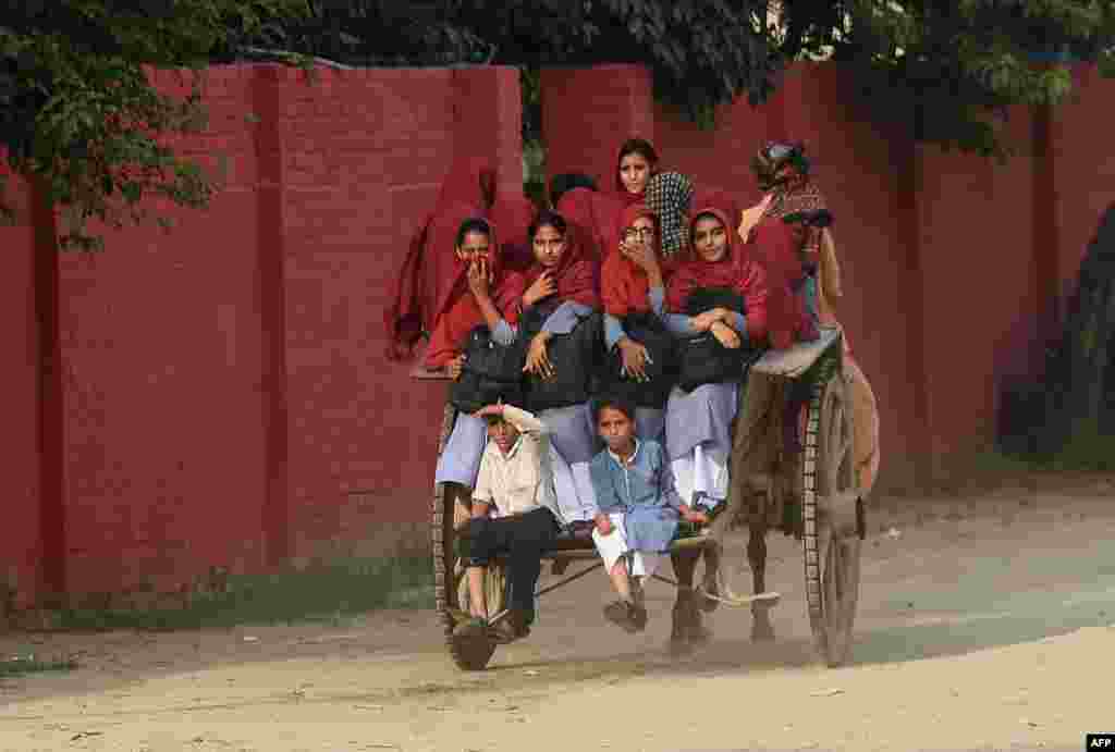 Pakistani students ride a cart through the village of Hussain Khanwala in Punjab Province. (AFP/Arif Ali)
