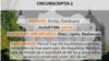 Circumscriptia nr 2, Ocnița, Dondușeni