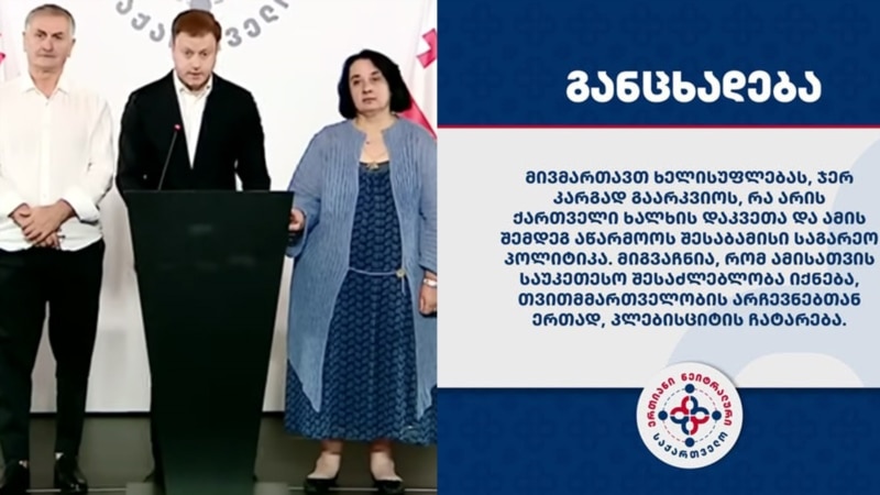 „ნეიტრალური საქართველო“ არჩევნებთან ერთად პლებისციტს ითხოვს ევროინტეგრაციის საკითხზე