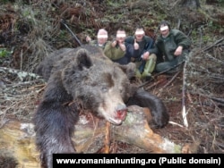 Vânătoare de urși din România realizată în perioada în care se vânau sute de astfel de animale zi de zi, sursa foto: www.romanianhunting.ro/