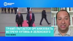 Историк Александр Фридман – о перспективах встречи Путина и Зеленского 