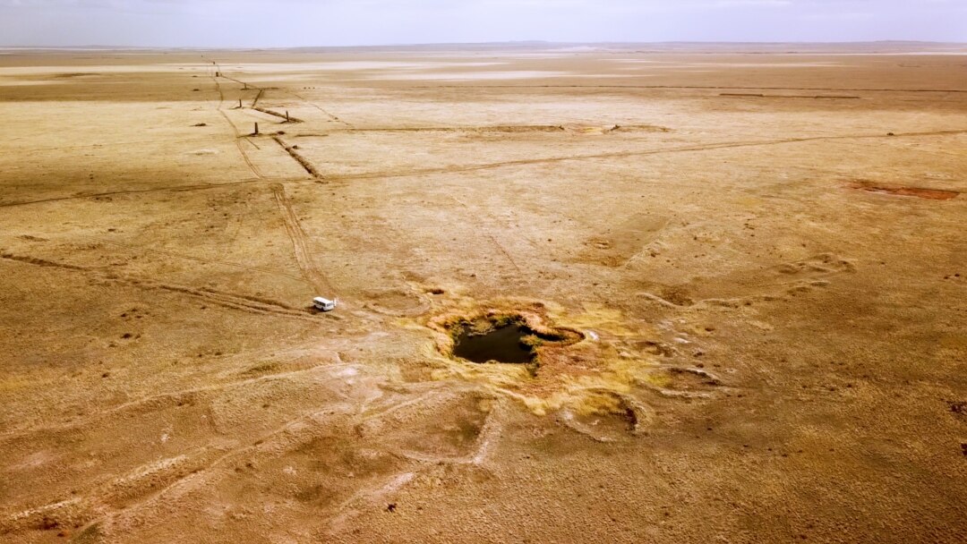 Масохист қыздарды мазақ ететін порно Анальды пролапсты қараңыз