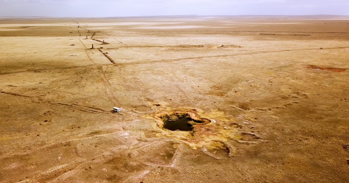 Ұялшақ минет