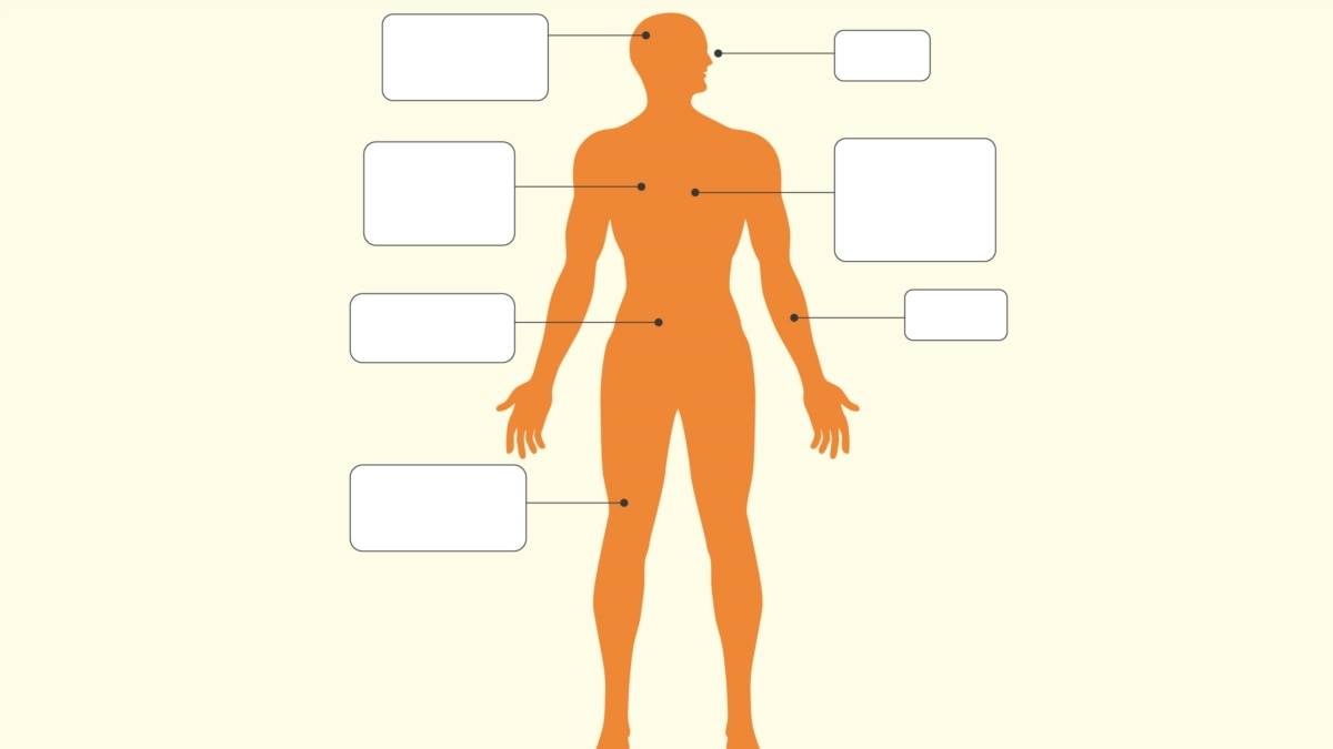 how-nerve-agents-affect-the-body