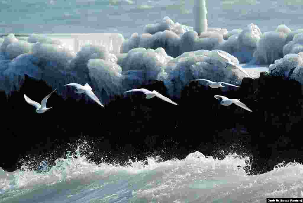 Gulls fly during a windy winter&#39;s day near Lake Leman in Geneva, Switzerland. (Reuters/Denis Balibouse)