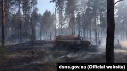 Лісова пожежа в Херсонській області, фото прес-служби ДСНС, 2 серпня 2019 року