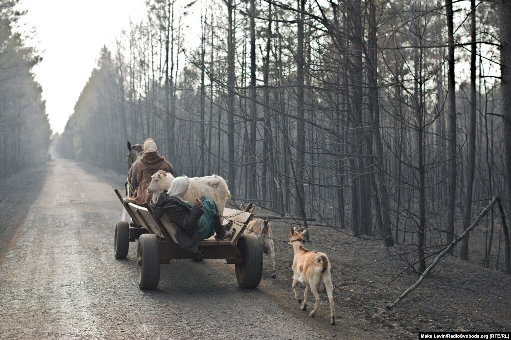 Banorët e Mahdinit, në rajonin ukrainas të Zhitomirit, duke u zhvendosur në një fshat tjetër, bashkë me kafshët e tyre, më 18 prill 2020, pasi shtëpitë e tyre u dogjën nga zjarret e egra. Flakët vazhduan me javë dhe kapluan edhe pjesë të zonës së ndaluar pranë uzinës bërthamore të Çernobilit.
