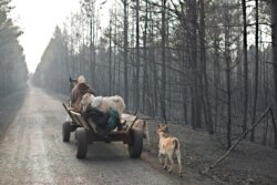 Ukrainanyň Žitomyr oblastynyň Mahdyn obasynyň ýaşaýjylary 18-nji aprelde tokaý ýangyny bilen birlikde, öýleri hem ýanansoň, hojalyk mallaryny alyp, başga oba göçýärler. Ol ýerde birnäçe hepdeläp möwç alan ýangyn Çernobyl atom elektrik stansiýasynyň golaýyndaky zona çenli baryp ýetdi. (Maks Lewin, AÝ/AR)