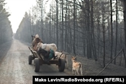 Locuitori din Mahdyn, regiunea ucraineană Zhytomyr, se mută într-un alt sat împreună cu animalelor lor, pe 18 aprilie, după ce casele lor au fost distruse de incendii care s-au manifestat timp de săptămâni și au intrat și în zona de excluziune de lângă fosta centrală nucleară de la Cernobîl. (Maks Levin, RFE/RL)