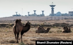 Camels graze in front of a spacecraft tracking station at the Baikonur Cosmodrome in Kazakhstan.