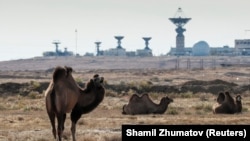 Камили лежат пред станцията за проследяване на космически кораби на космодрума Байконур в Казахстан.