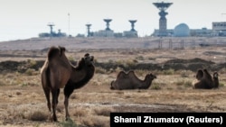 Baýkonurdaky kosmos menzilindäki uçuşlara gözegçilik edýän enjamlaryň fonundaky düýeler