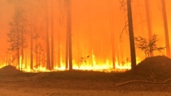 Почему в Якутии горит лес
