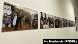 Aleksandar Radin je fotografisao radionice i fotošopirao velikog slona koji u svakom kadru postaje sve manji, aludirajući na izreku "Adressing the Elephant in the Room".