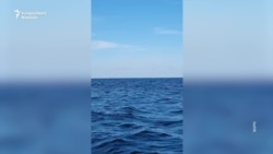 Neutralizarea minei marine