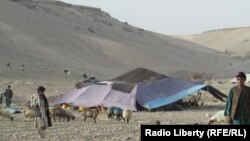 A Kuchi nomad family in southren Afghanistan. (file photo)