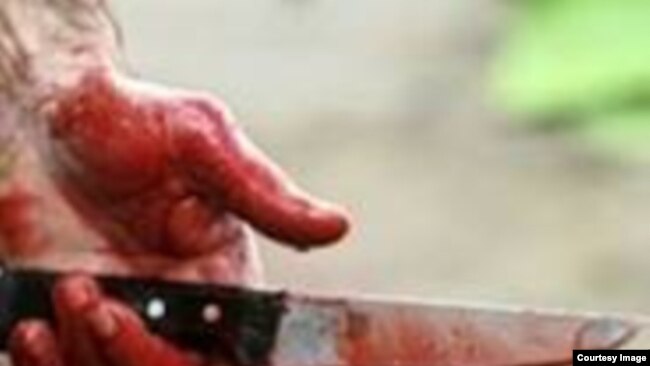 جرمني د اګست میاشتې پر ۳۰مه یوه ډله افغانان په داسې حال کې افغانستان ته اخراج کړل، چې تر دې پېښې یوه اوونۍ مخکې د اګست پر ۲۳مه په زولینګن ښار کې د یوه فیسټیوال پر مهال د چړې په ګوزارونو درې کسان ووژل شول او اته نور یې ټپیان شول.