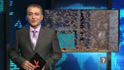 ستودیوی آزادی – تازه ترین خبرهای جهان