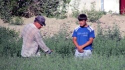 Aşgabatda suw maslahaty boldy, bugdaýy gögermedik daýhanlar agzalmady