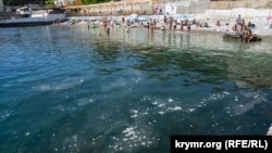В морской воде на пляже «Спутник» в Гурзуфе плавает мусор и мелкие медузы