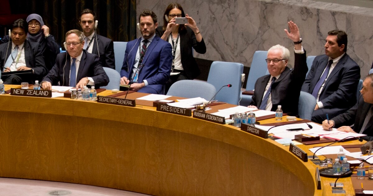 Russia Calls Draft French UN Syria Resolution 'One-Sided'