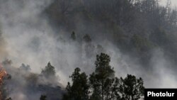 Meşə yanğını (arxiv fotosu)