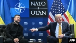 Уладзімір Зяленскі і Дональд Трамп