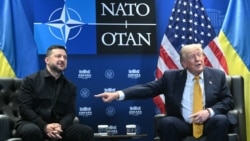 Зеленський і Трамп зустрілися на полях саміту НАТО