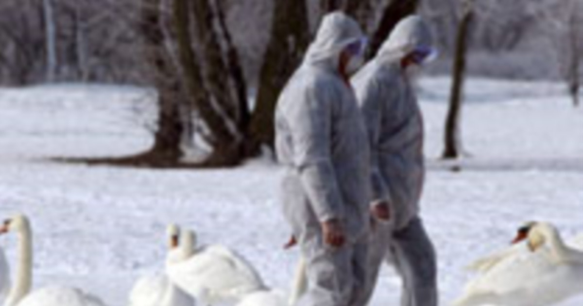 Poland Reports Second Case Of Bird Flu