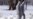 Poland Reports Second Case Of Bird Flu