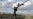 Ucraina a atacat Moscova cu zeci de drone. Lupte grele se poartă la Pokrovsk