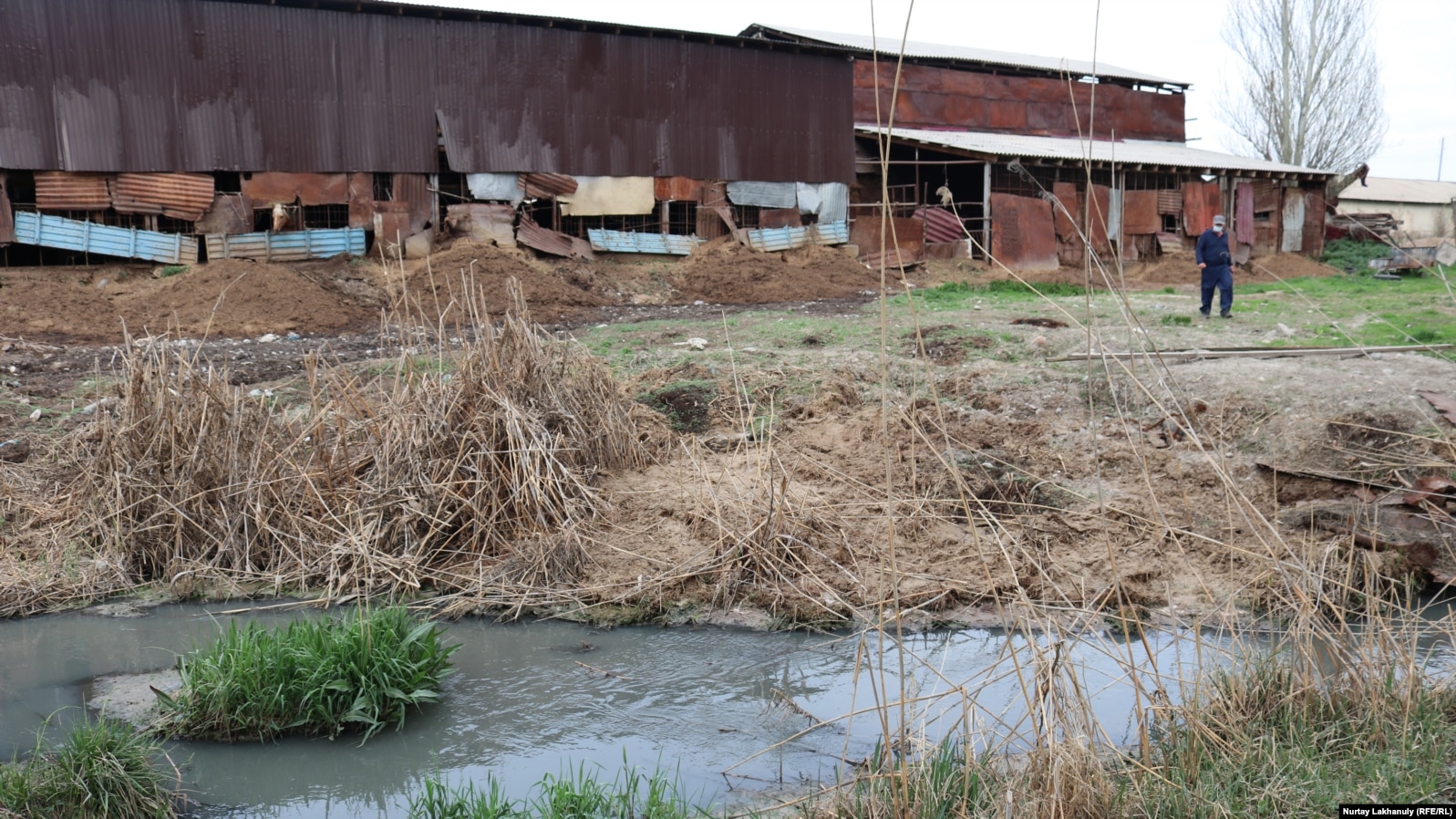 Речку, по словам жителей, завалили мусором и отходами производства боен, расположенных вдоль водоема. Талгарский район, Алматинская область, 18 апреля 2021 года.