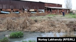 Речку, по словам жителей, завалили мусором и отходами производства боен, расположенных вдоль водоема. Талгарский район, Алматинская область, 18 апреля 2021 года.