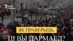 Як праверыць, ці дармаед вы? ВІДЭАІНСТРУКЦЫЯ