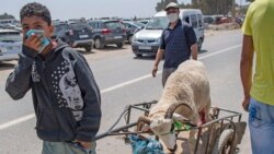 Marokanci kupuju žrtvene životinje uoči muslimanskog festivala Eid al-Adha na stočnoj pijaci u obalnom gradu Skhiratu, oko 20 kilometara južno od glavnog grada Rabata, usred pandemije COVID-19, 26. jula 2020.