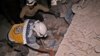 U.S., Russia Differ On Evacuation Of Syrian White Helmets