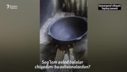 Боғча ошпази: Илтимос, бизнинг боғча шароити билан танишиб кетинглар