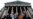 Hundreds Protest Giving St. Isaac Cathedral To Russian Orthodox Church