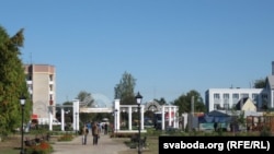 Хвойнікі, ілюстрацыйнае фота