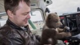 Saving Mansur The Air Bear video grab 1