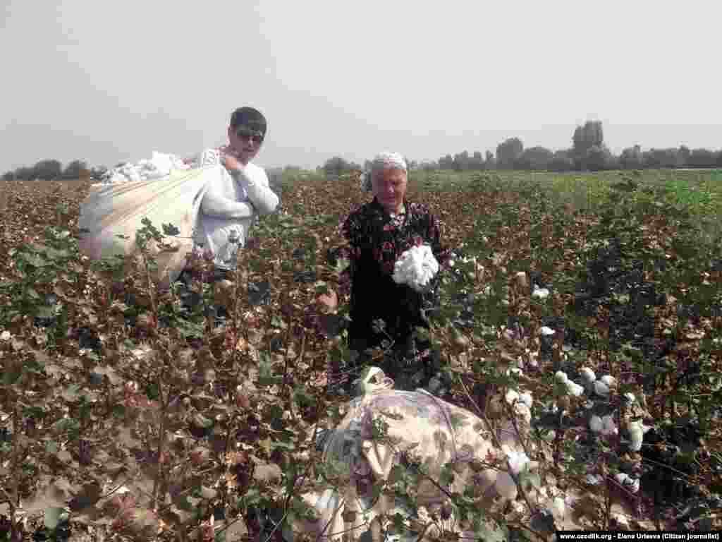 children-pensioners-at-work-in-uzbekistan-s-cotton-fields