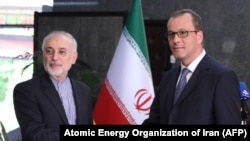 Ali Akbar Salehi (L) shakes hands with Acting Director General of the International Atomic Energy Agency (IAEA) Cornel Feruta during their meeting in Tehran, September 8, 2019