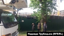 В Тюмени активисты защищают дерево от рубщиков