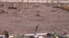 قبرستان خاوران؛ جایی که محل دفن زندان سیاسی کشته شده در زندان‌های جمهوری اسلامی در سال ۶۷ است