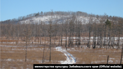 Деревья Забайкальского Края Фото И Описание