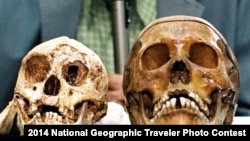  جمجمه سمت چپ متعلق به کوتوله‌های اندونزی است و جمجمه سمت راست متعلق به انسان‌های کنونی.
