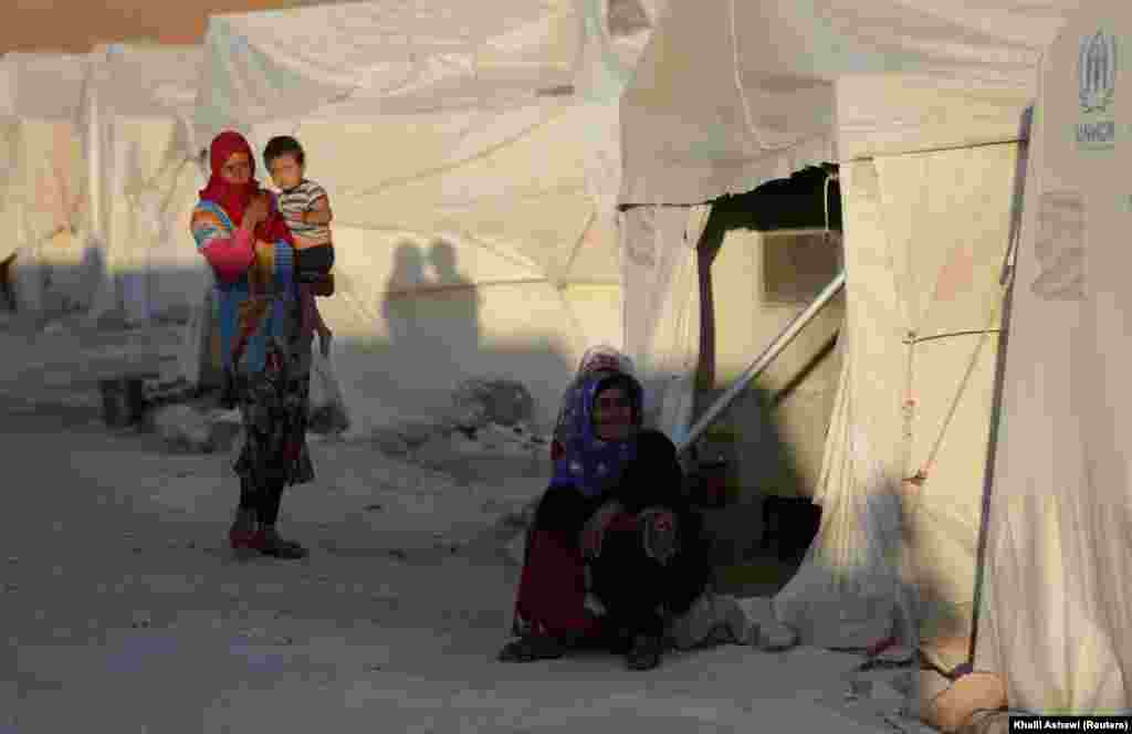 نه تنها شهروندان خود استان که پناهجویان و آوارگان از نقاط دیگر سوریه نیز ساکن ادلب هستند.